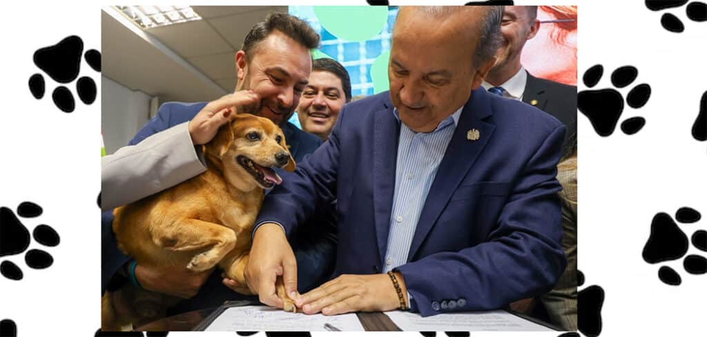 Governador Jorginho Mello lança maior programa estadual de castração animal do país Governador Jorginho Mello lança maior programa estadual de castração animal do país