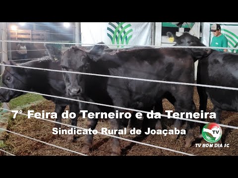7° Feira do Terneiro e da Terneira - Joaçaba/SC