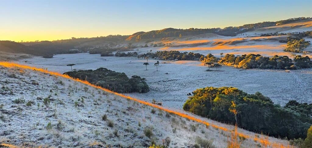 SC registra temperatura mais baixa do ano com -6,5°C em São Joaquim
