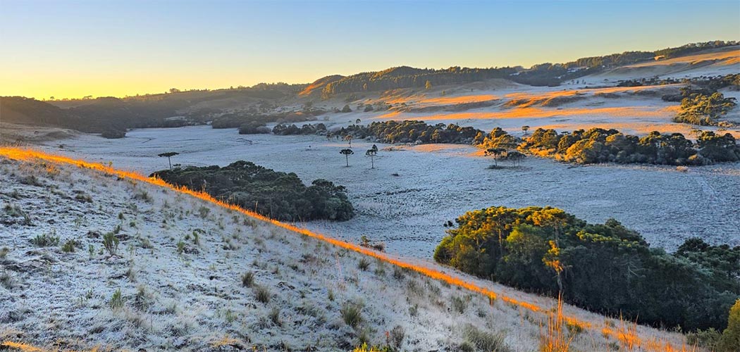 SC registra temperatura mais baixa do ano com -6,5°C em São Joaquim