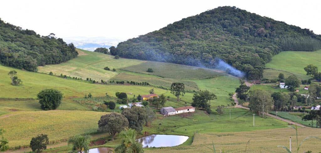 Produtor catarinense pode ter juro zero no Plano Safra com apoio do Estado Produtor catarinense pode ter juro zero no Plano Safra com apoio do Estado