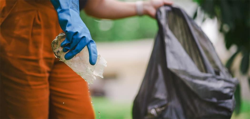 Dengue SC: Estado se mobiliza com ações de enfrentamento ao Aedes aegypti