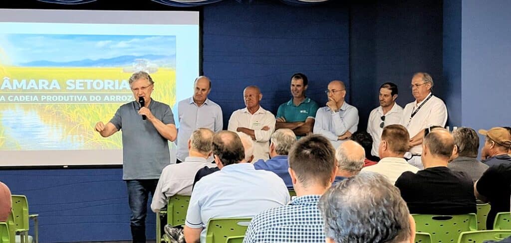Câmara Setorial do Arroz levantou reivindicações para frear impactos da crise econômica no setor orizícola