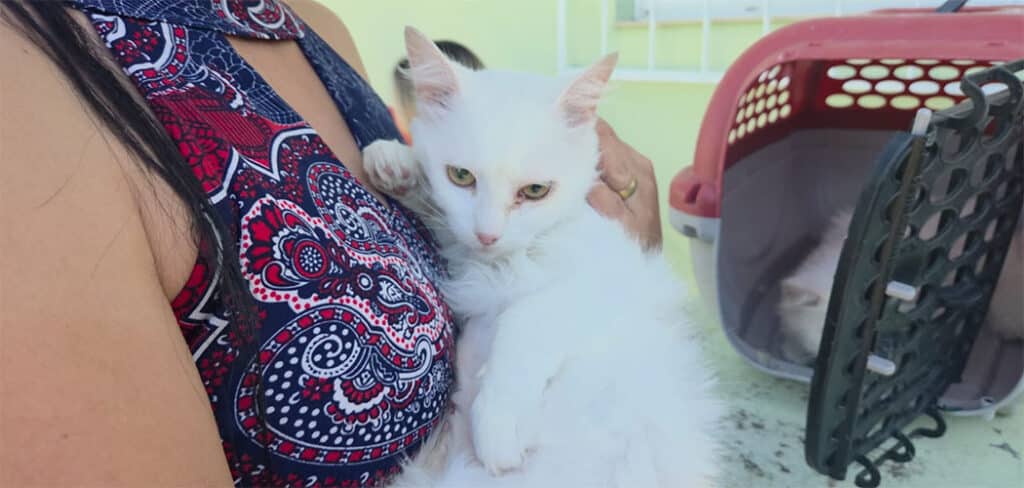 Programa Pet Levado a Sério avança em SC