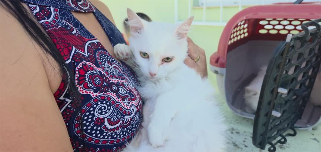 Programa Pet Levado a Sério avança em SC