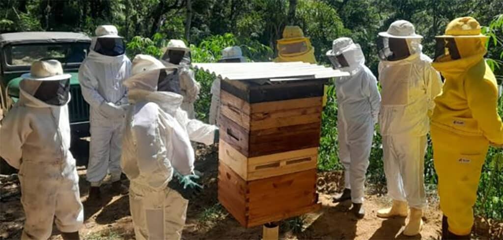 Secretaria da Agricultura e Epagri investem na qualificação da apicultura catarinense