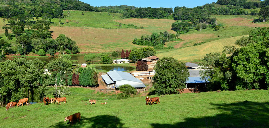 Programas para apoiar investimentos nas propriedades rurais estão em operação e já podem ser acessados pelos produtores