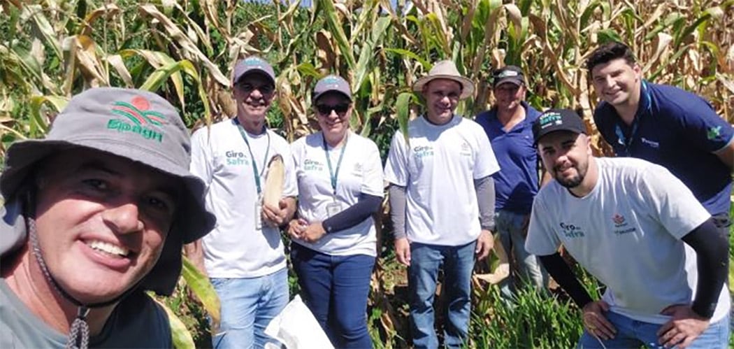 Epagri realiza Giro da Safra do milho em Campos Novos