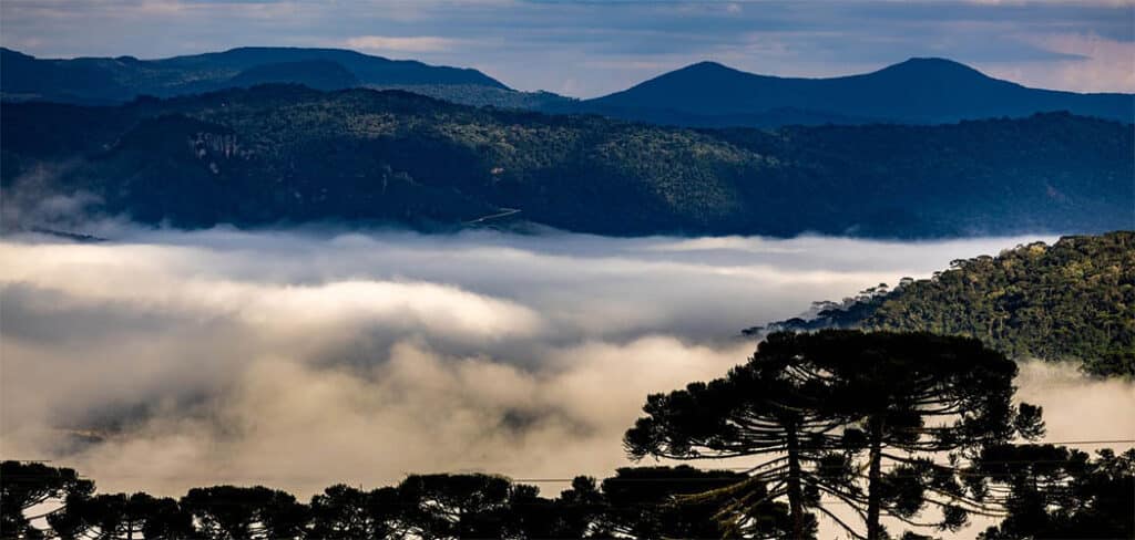 Dia das Mães terá frio intenso e geada em SC com avanço de massa de ar polar