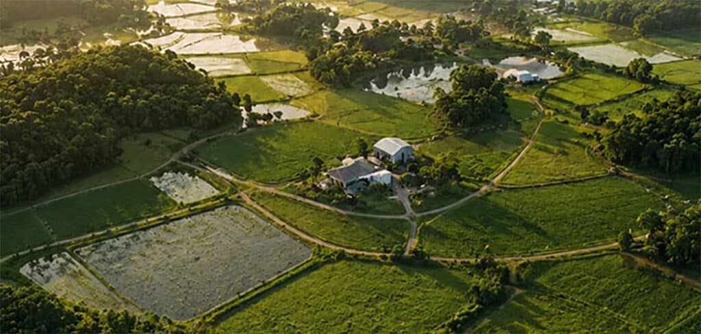 Valor da Produção Agropecuária catarinense bate novo recorde com aumento de 15,8% e alcança R$ 75,1 bilhões Valor da Produção Agropecuária catarinense bate novo recorde com aumento de 15,8% e alcança R$ 75,1 bilhões