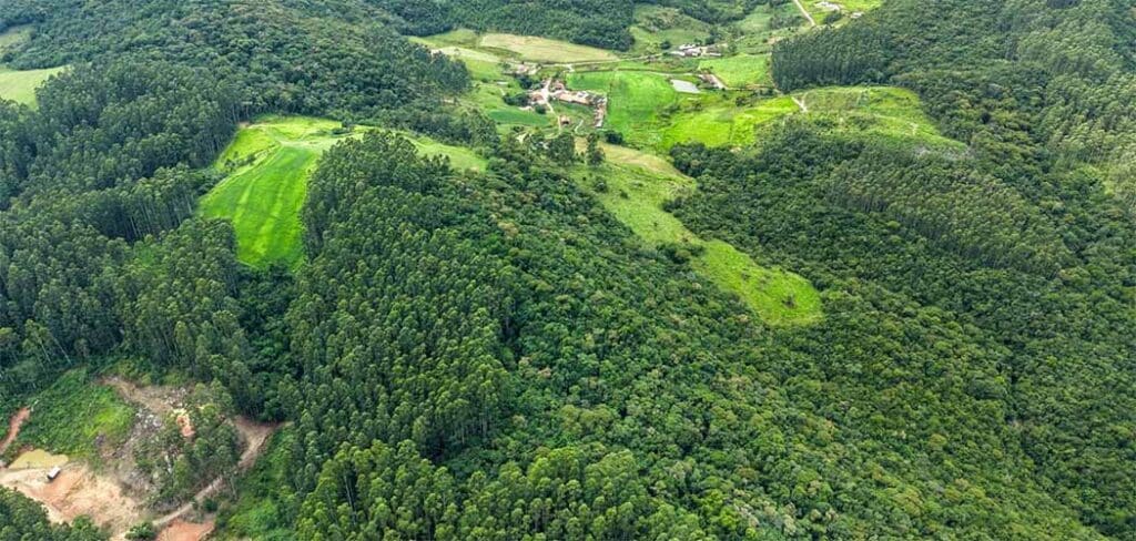 Governo de SC lança edital para seleção de propriedades rurais que preservam a vegetação nativa