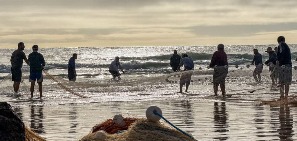 Governo de SC aciona Justiça Federal para derrubar cotas da pesca artesanal da tainha no estado