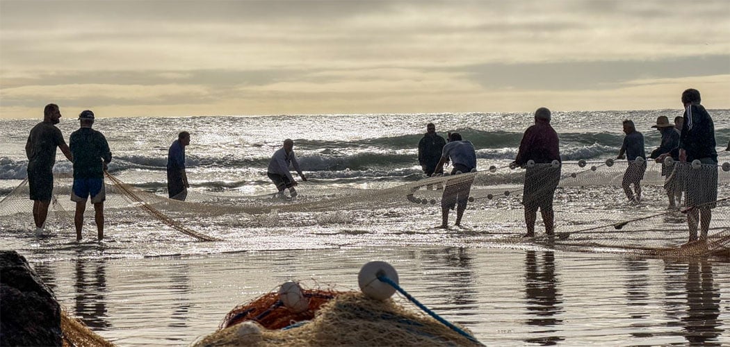 Governo de SC aciona Justiça Federal para derrubar cotas da pesca artesanal da tainha no estado