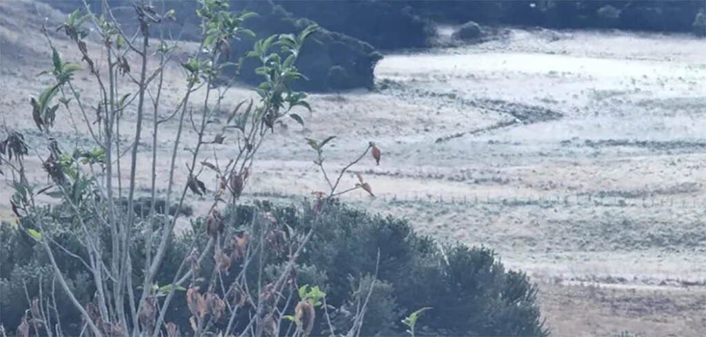 Feriado de 7 de Setembro começa com temperaturas negativas em Santa Catarina Feriado de 7 de Setembro começa com temperaturas negativas em Santa Catarina