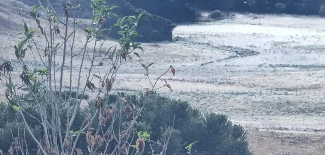 Feriado de 7 de Setembro começa com temperaturas negativas em Santa Catarina