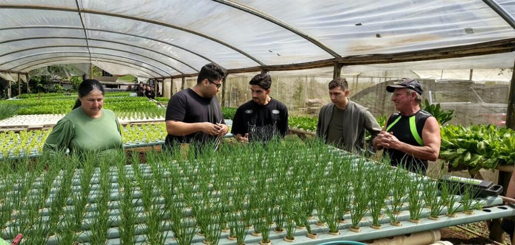 Gatelli Verduras recebe alunos da Unoesc Videira para visita técnica sobre hidroponia em Treze Tílias