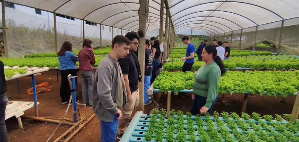 Gatelli Verduras recebe alunos da Unoesc Videira para visita técnica sobre hidroponia em Treze Tílias
