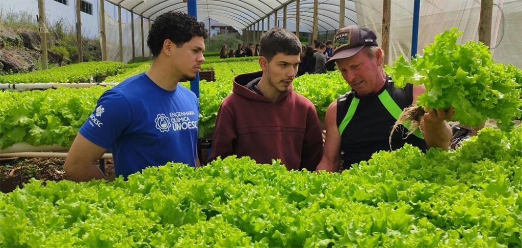 Gatelli Verduras recebe alunos da Unoesc Videira para visita técnica sobre hidroponia em Treze Tílias