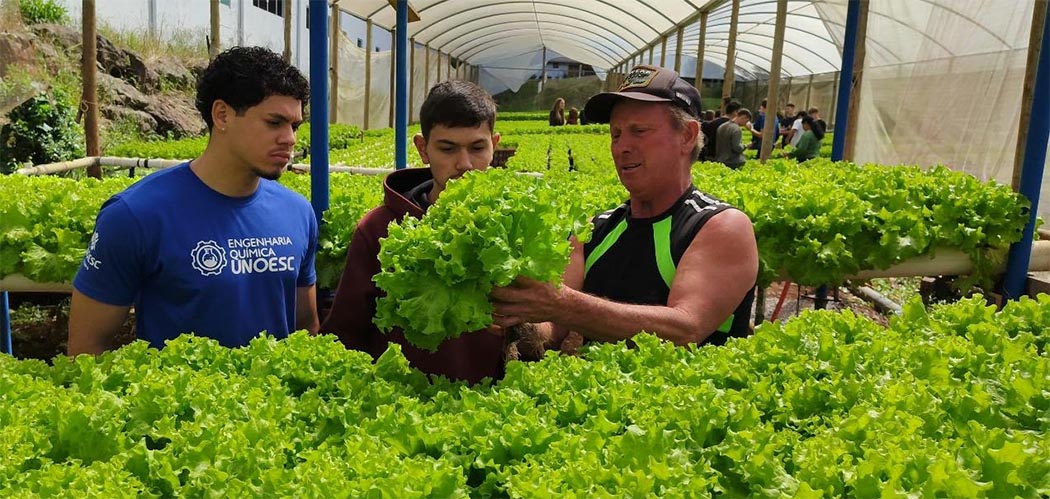 Gatelli Verduras recebe alunos da Unoesc Videira para visita técnica sobre hidroponia em Treze Tílias